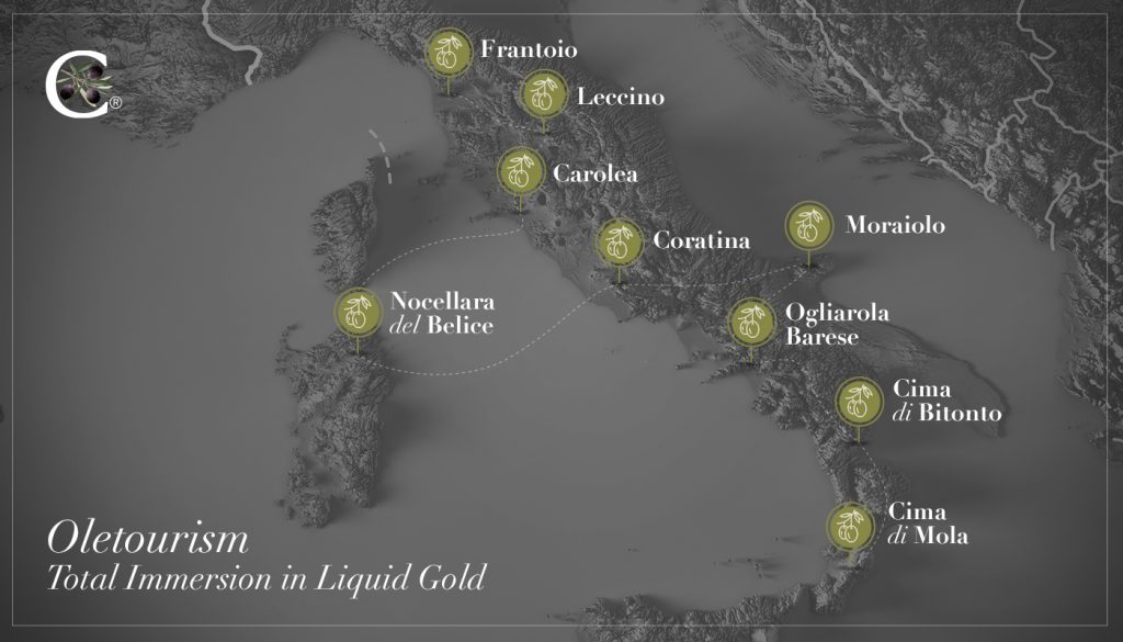 Tour dell'olio d'oliva, ofwel de olijfolie-routes - Carapelli